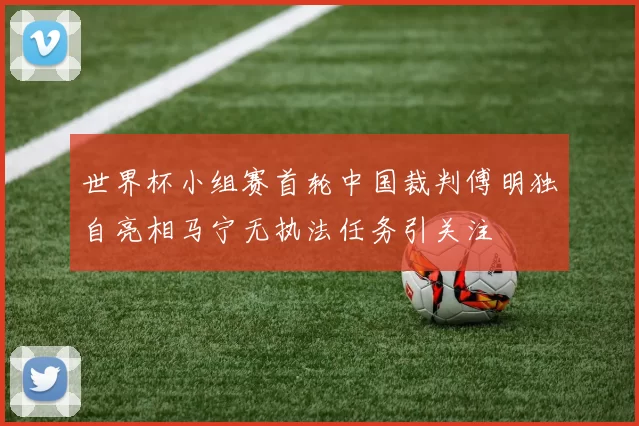 世界杯小组赛首轮中国裁判傅明独自亮相马宁无执法任务引关注